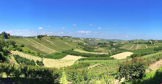 Poderi Moretti panorama vigneti www.morettivini.it (2) Monteu Roero  